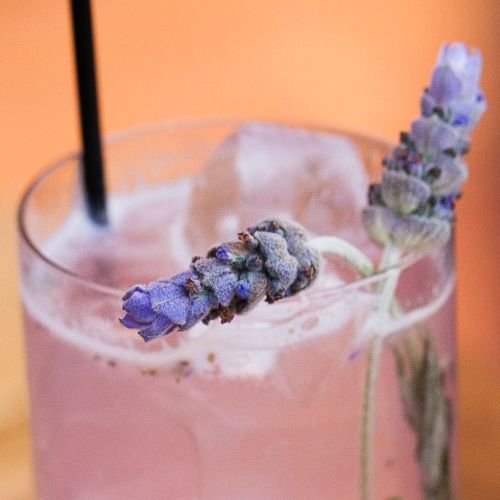 La Guapa cocktail made with Kitapo African Gin, garnished with citrus and fresh herbs