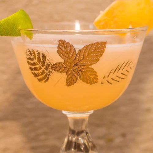 Parakeet Nordine cocktail made with Kitapo African Gin, garnished with fresh herbs and citrus