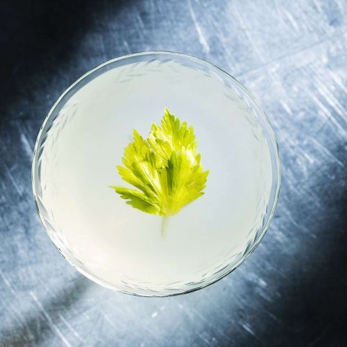 Celery Gimlet cocktail made with Kitapo African Gin, garnished with a celery stick